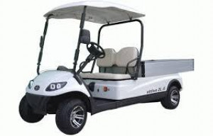 Voiturette golf  - Devis sur Techni-Contact.com - 1